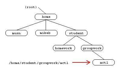 The Unix file structure